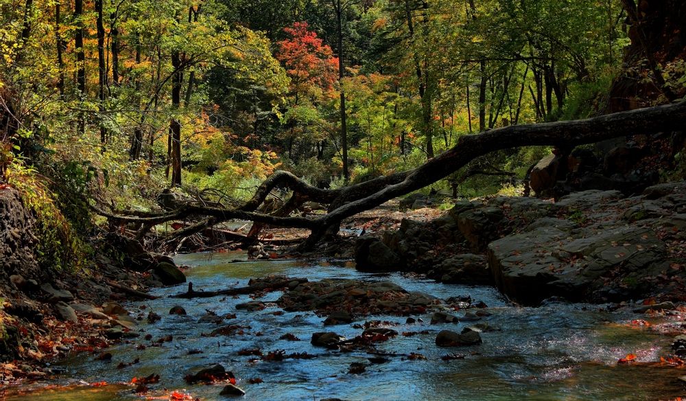 Photograph by Валерий