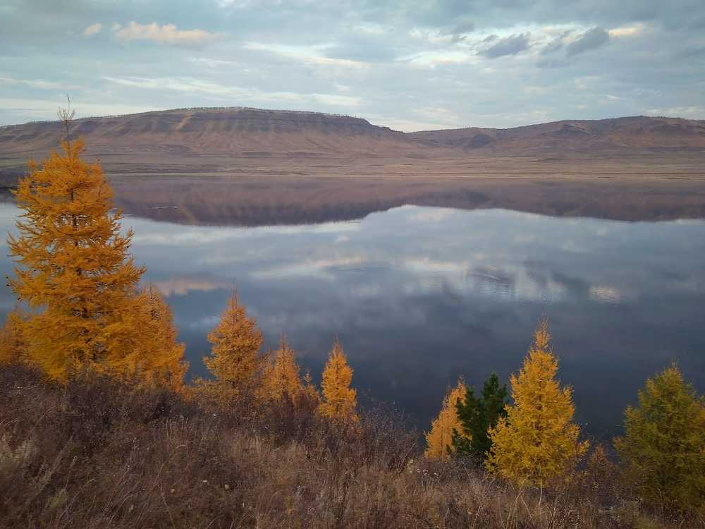 Photograph by Наталья Юрова