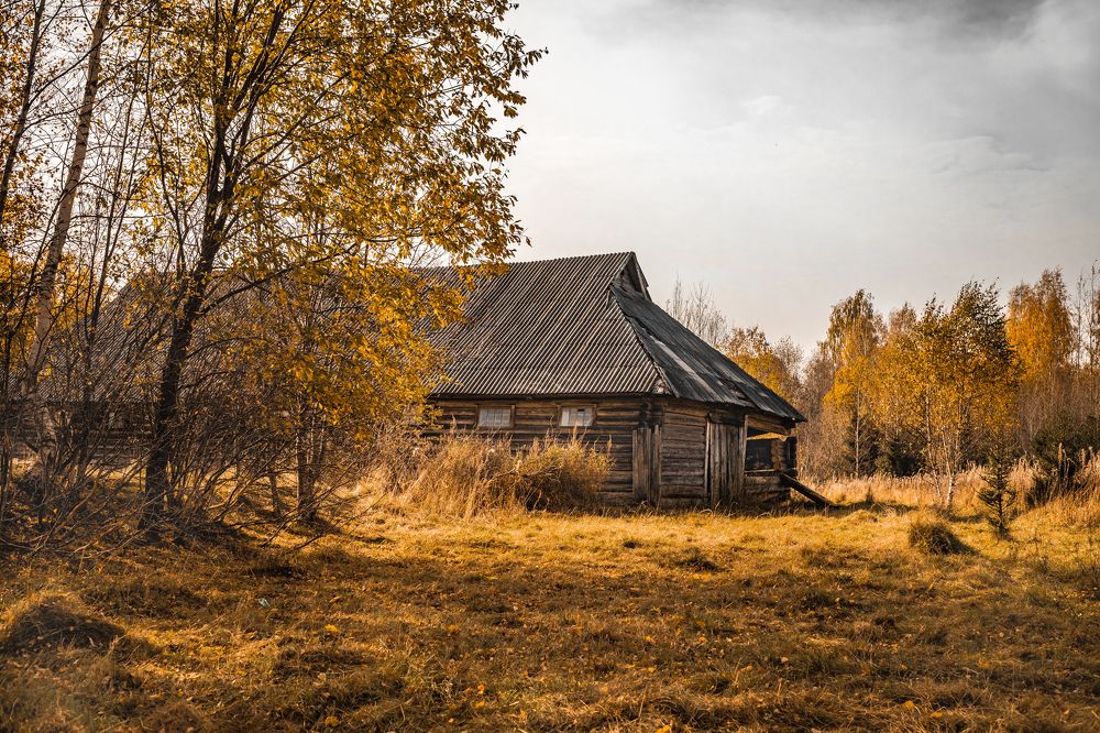 Фотография автора Мария Сурмачева