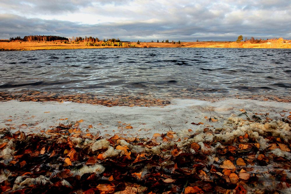 Фотография автора Людмила Иванова