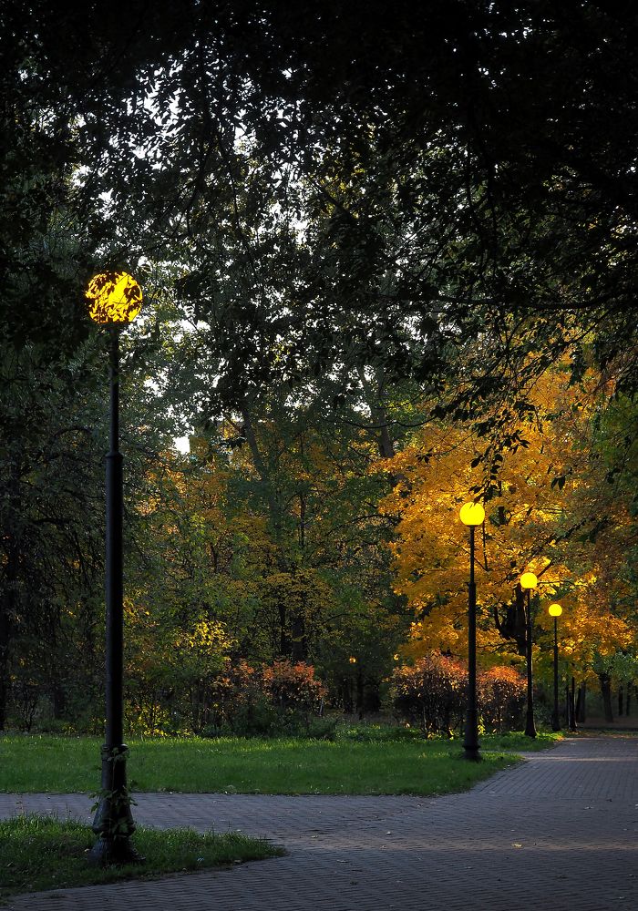 При свете фонарей.