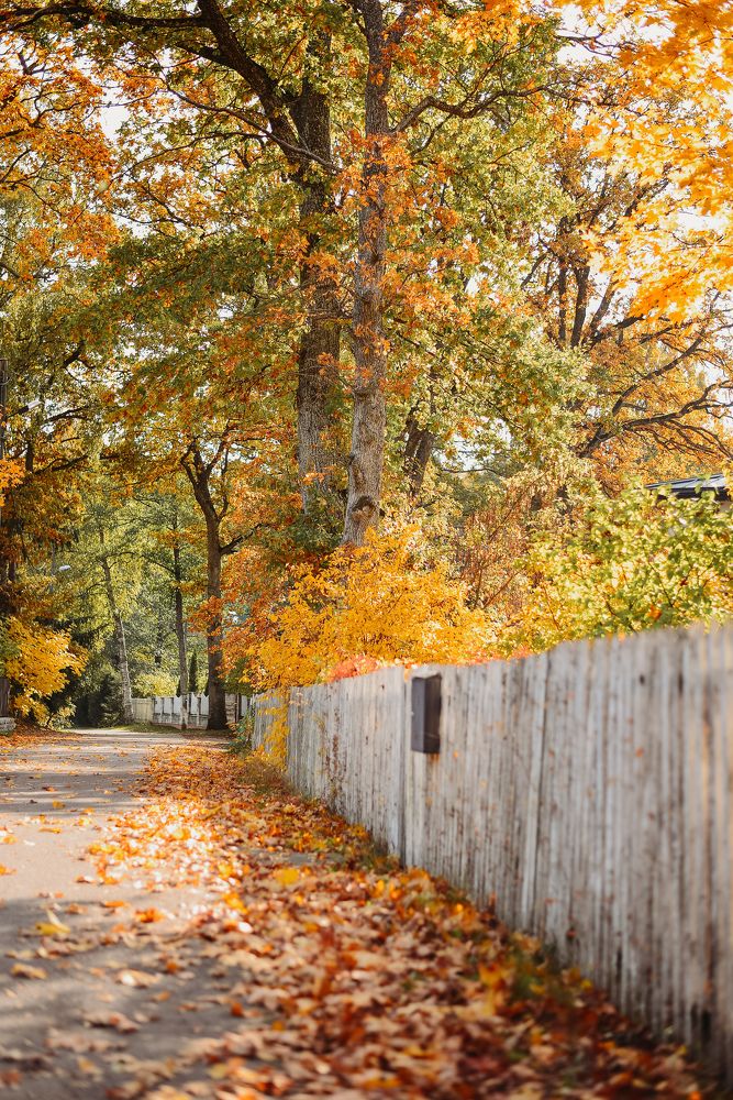 Photograph by Liana Lauta