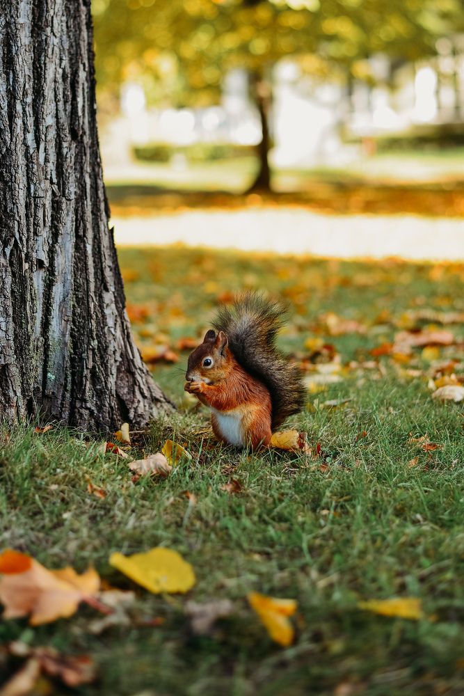 Photograph by Liana Lauta