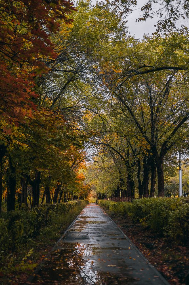 Photograph by Ярослав Акопян