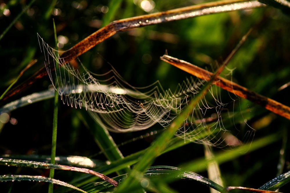 Фотография автора Настя