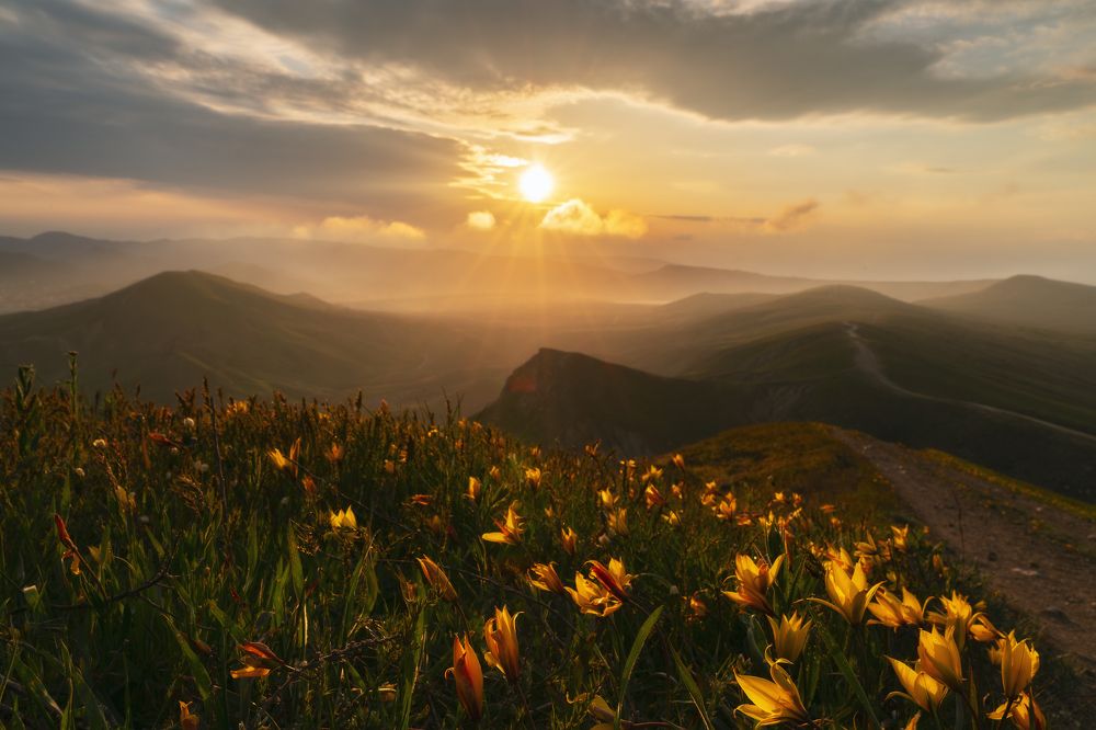 Photograph by Юлия Шумляева