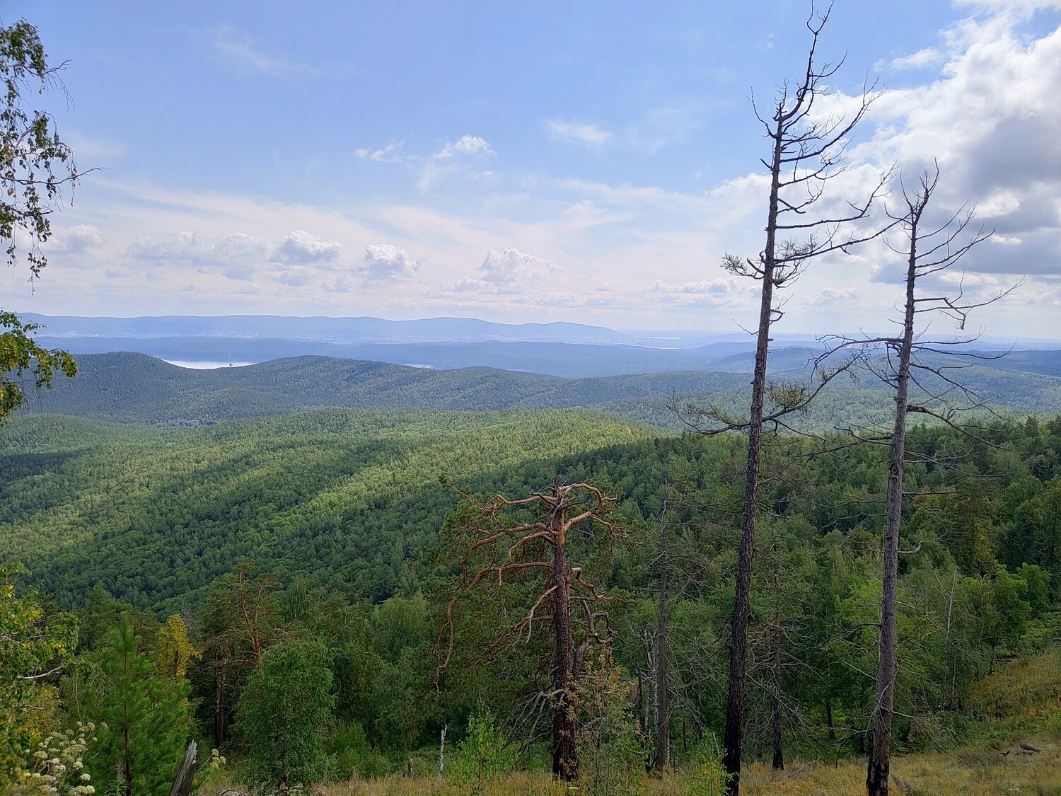 Photo #6566882