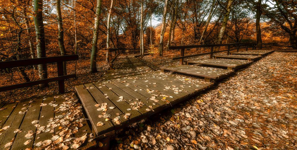 Photograph by Владимир Vladimir