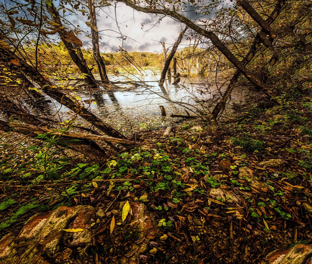 Photograph by Владимир Vladimir