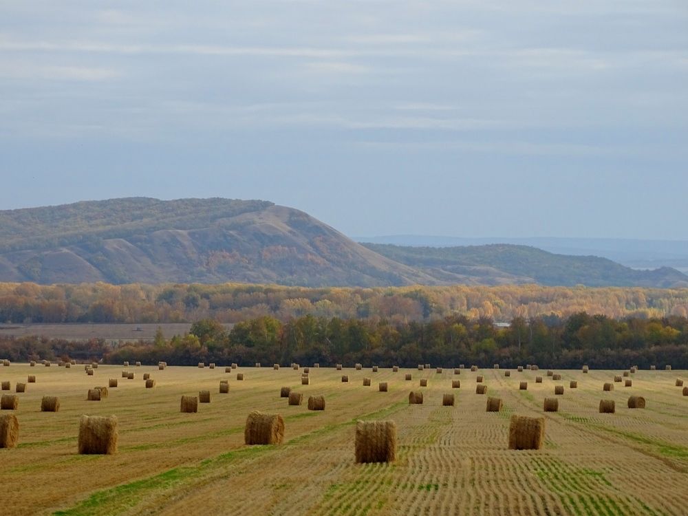 Photograph by Александр