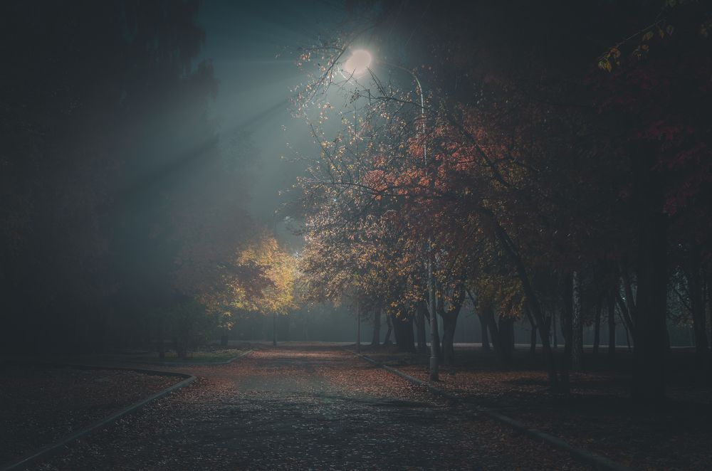 Ночь. Улица. Фонарь.