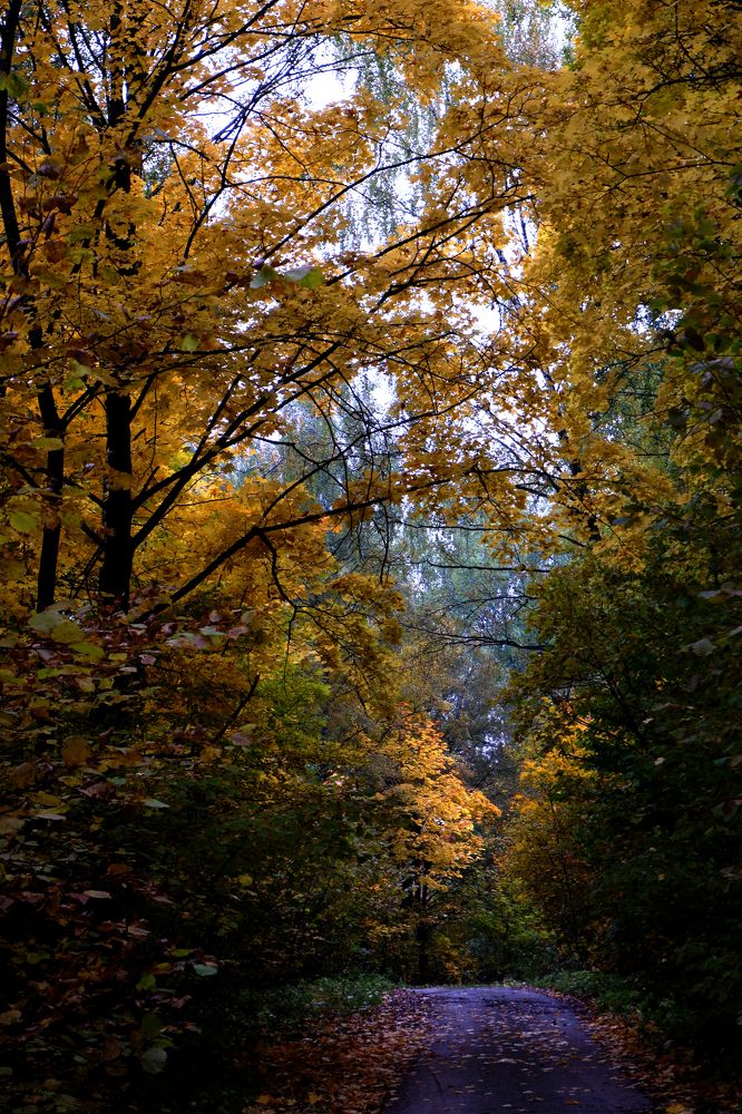 Photograph by Анастасия Алякина