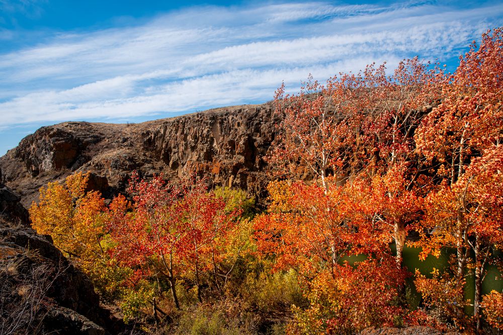 Photograph by Елена Прохорова