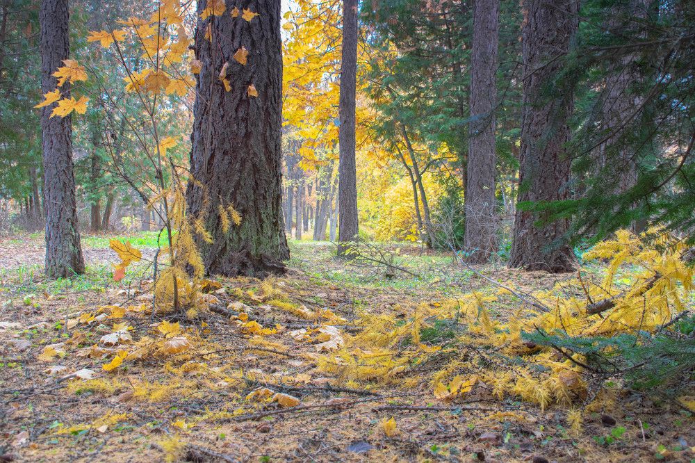 Photograph by Дмитрий V