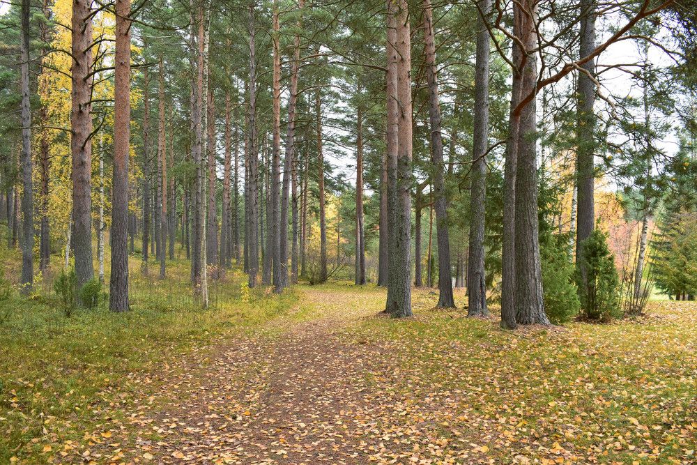 Photograph by Дмитрий V