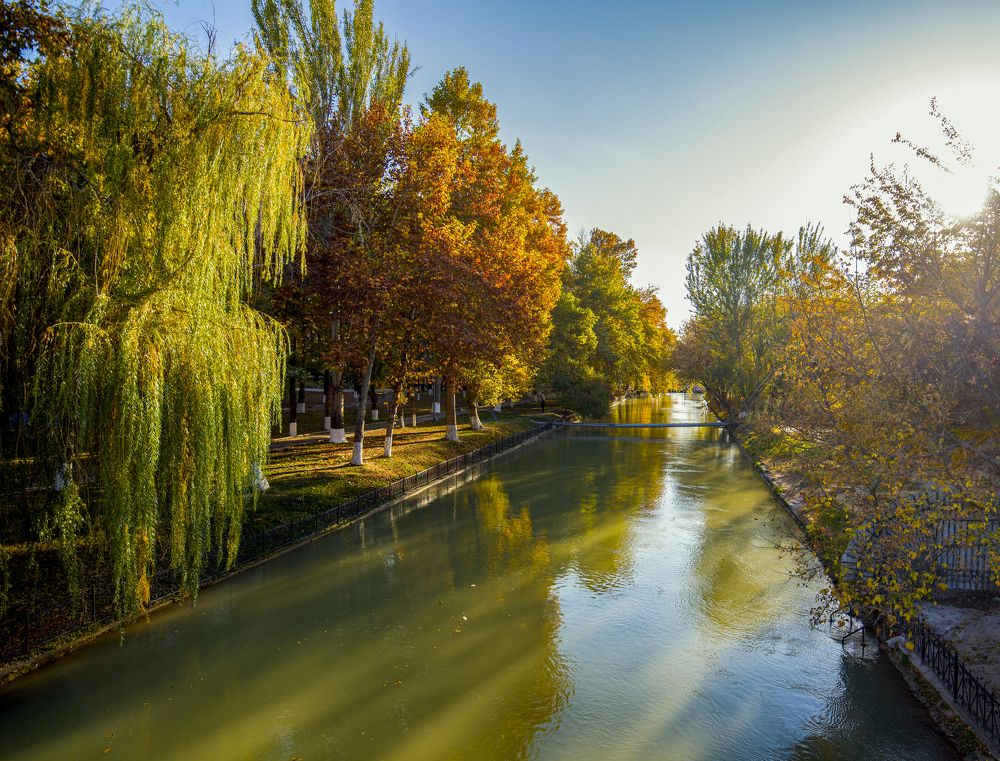 Photograph by Abdulrahman Sawalha