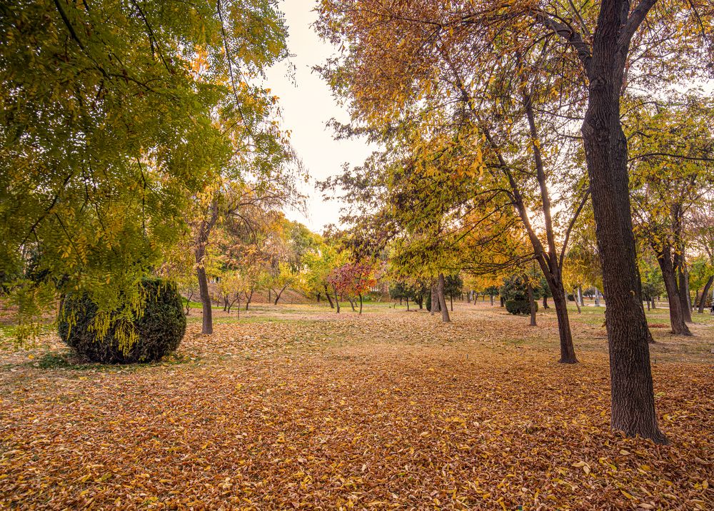 Photograph by Abdulrahman Sawalha