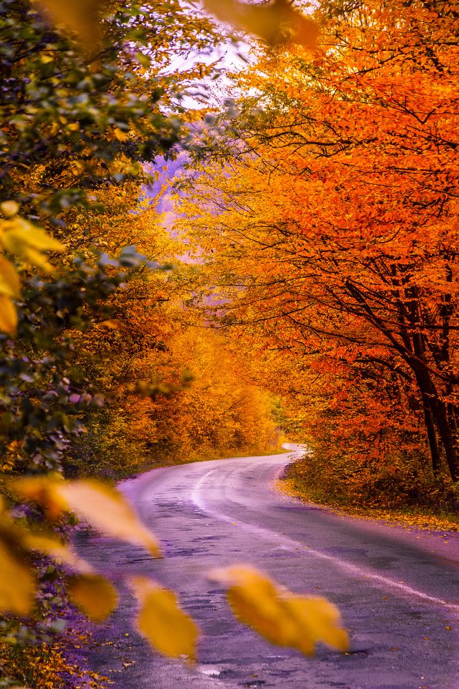 Photograph by Юрий Иванчук