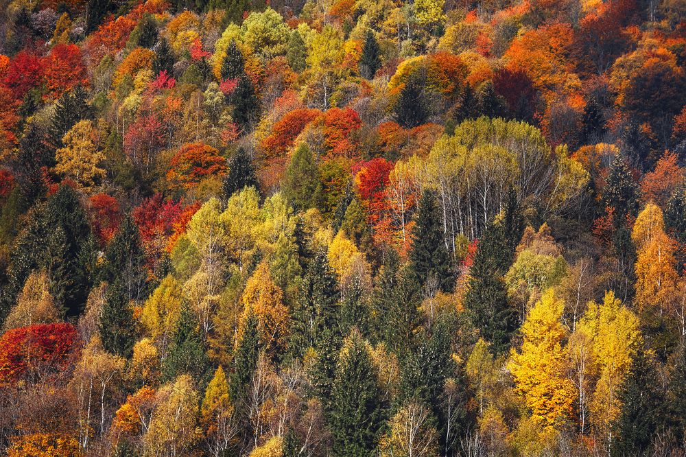 Photograph by Александра Гревцева