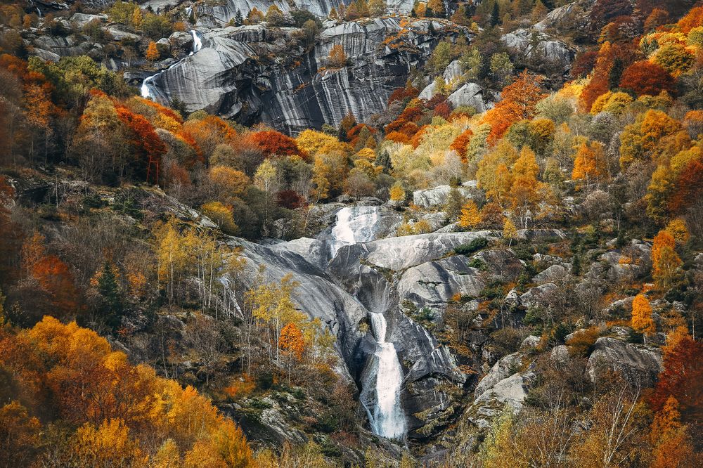 Photograph by Александра Гревцева