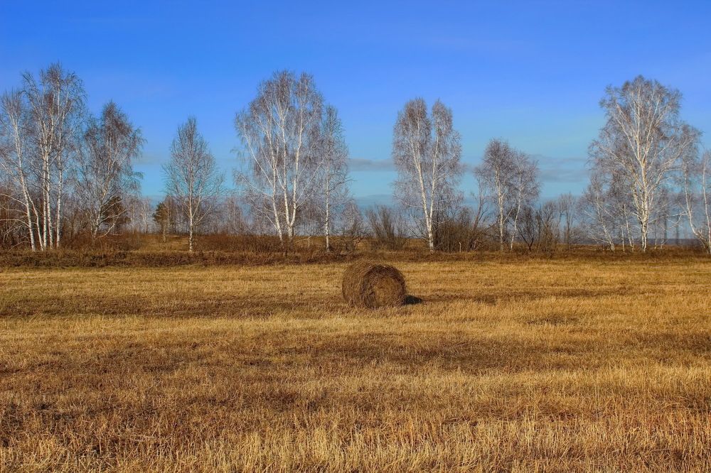 Photograph by Евгений Шульга