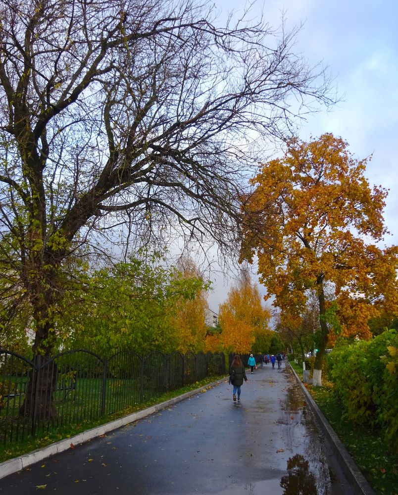 Осенний город