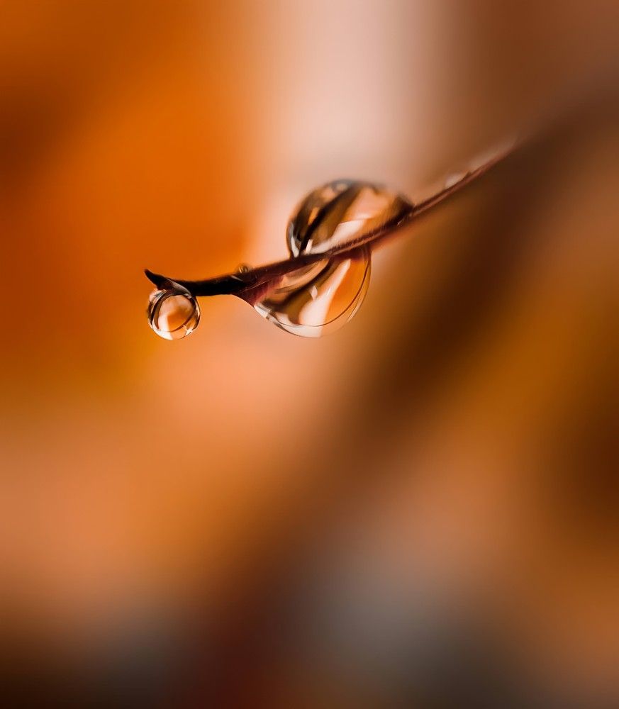 Photograph by Sarah Pouryousef