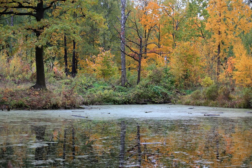 Photograph by Александр Алексеенко