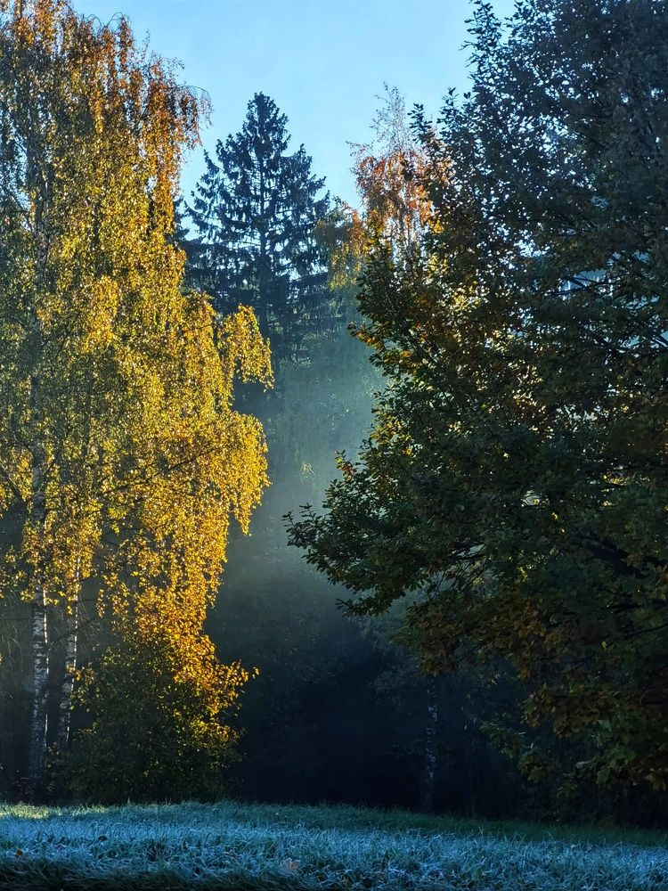 Photograph by Мария Путинцева