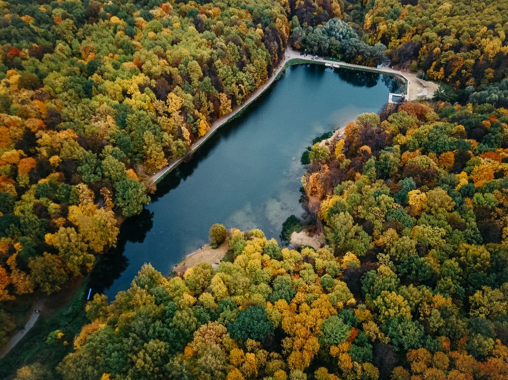 Photograph by Vladimir Presnyakov