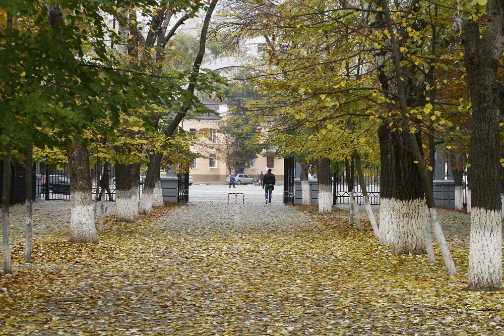 Photograph by Сергей Оплачко