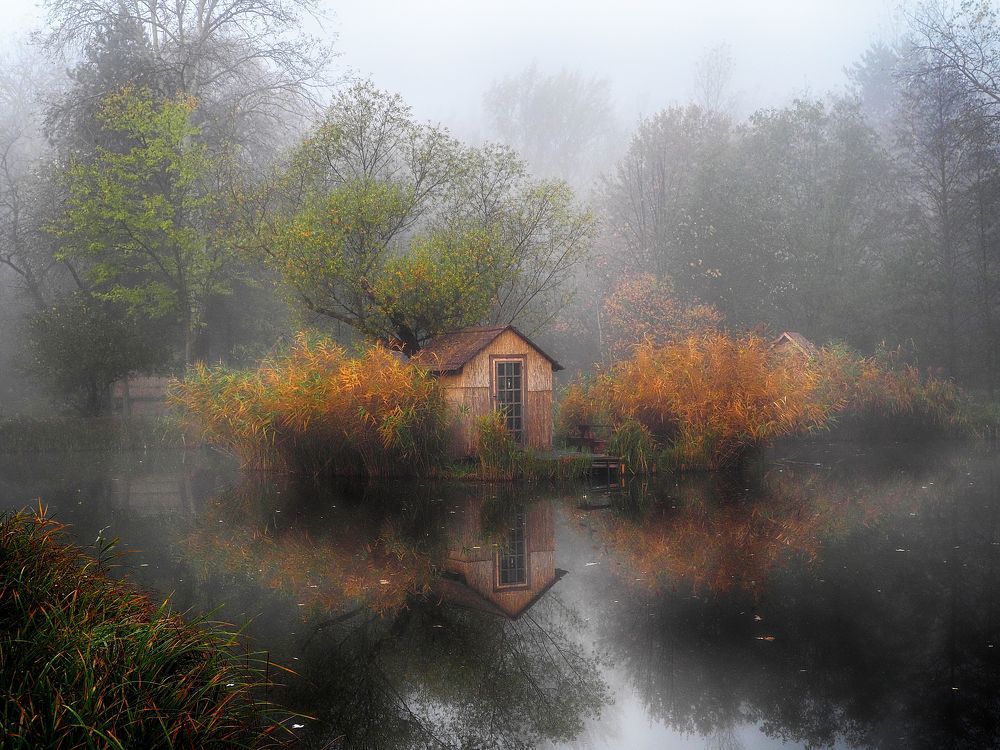 Photograph by Adrian Eperjessy