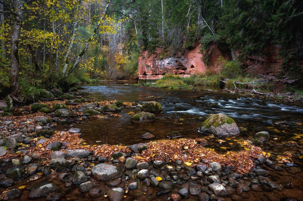 Photograph by Dace Spalviņa