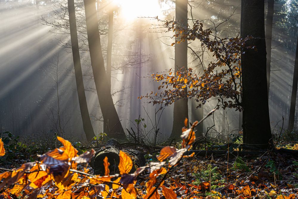 Photograph by James Graf