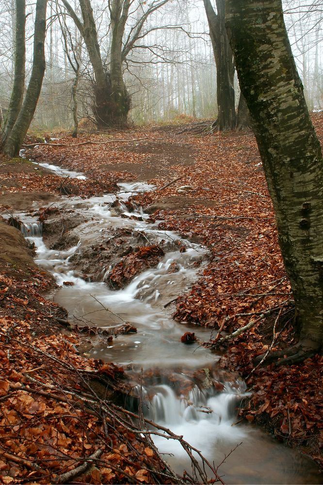 Photograph by Claudio Bonaccorsi