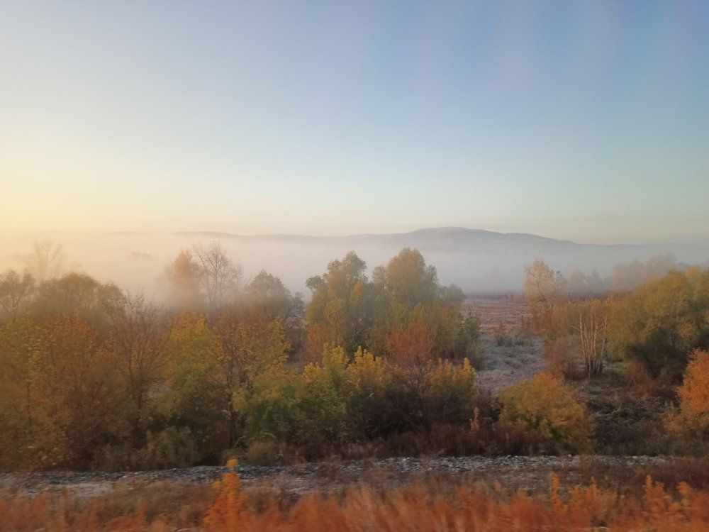 Photograph by Елизавета Мишина