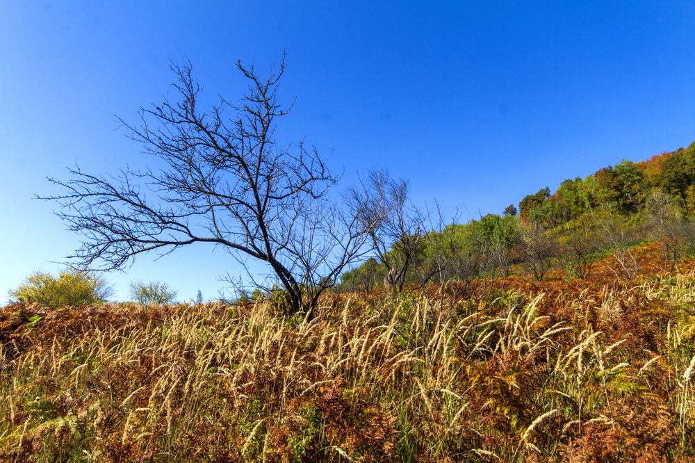 Photograph by Богдан Бигун