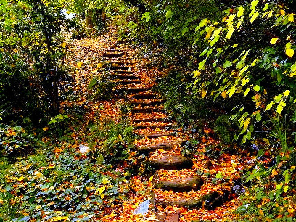 Photograph by Виктор Шандоров