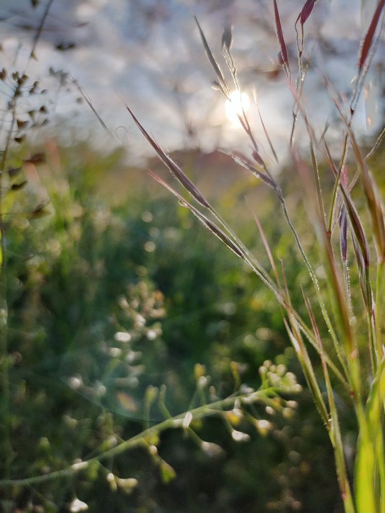 Photograph by Александра