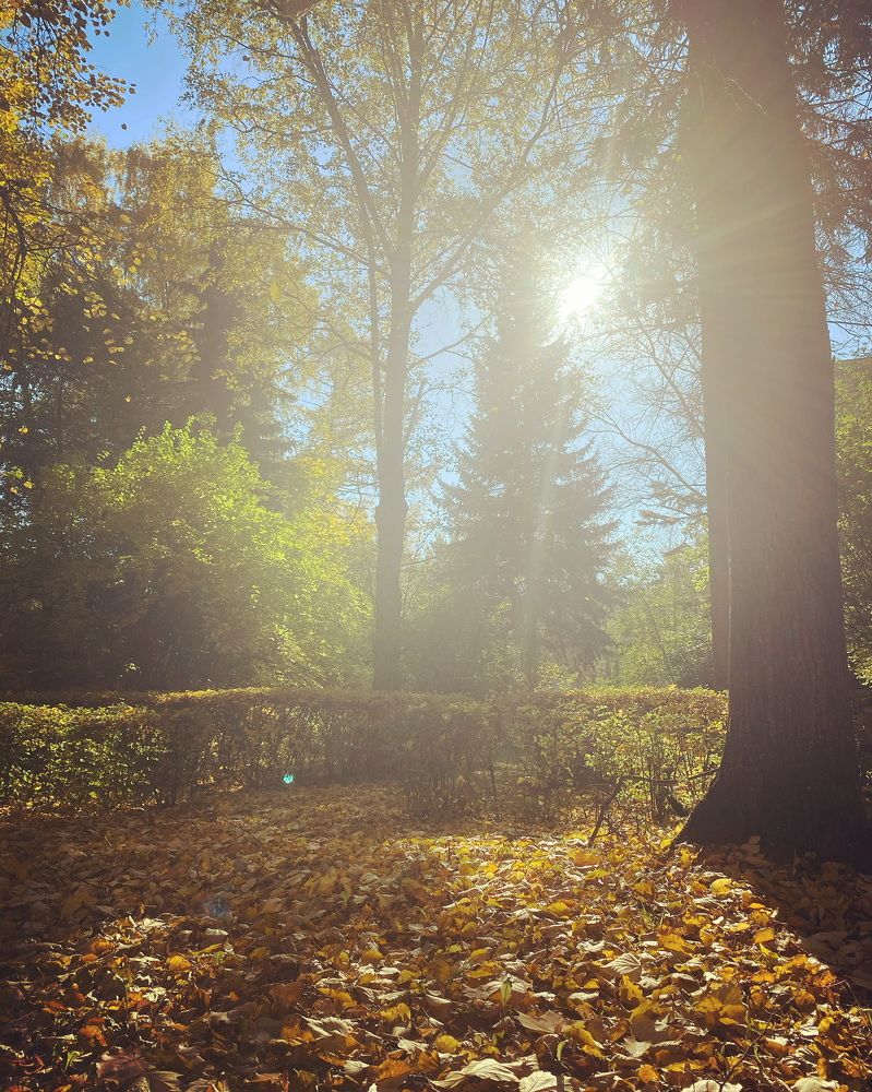 Photograph by Ольга Галкина