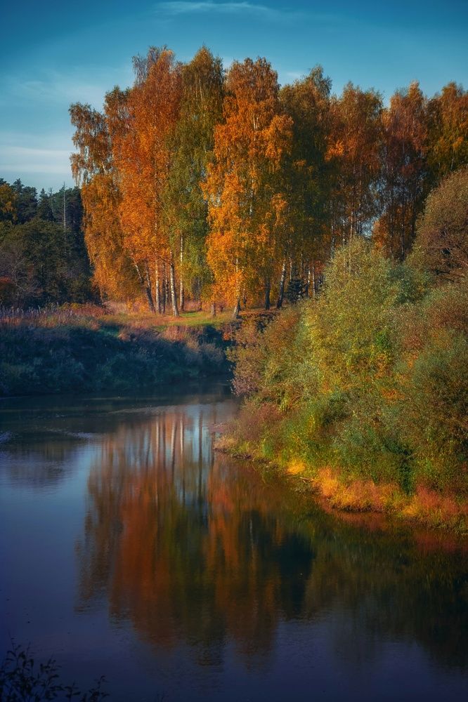 Photograph by Света Богоявленская