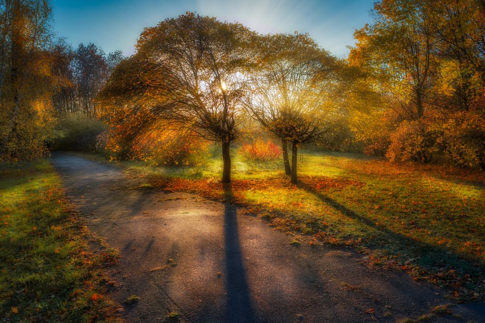 Photograph by Владислав Дурнев