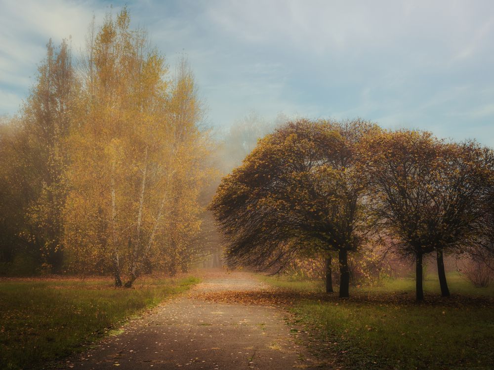 Photograph by Владислав Дурнев