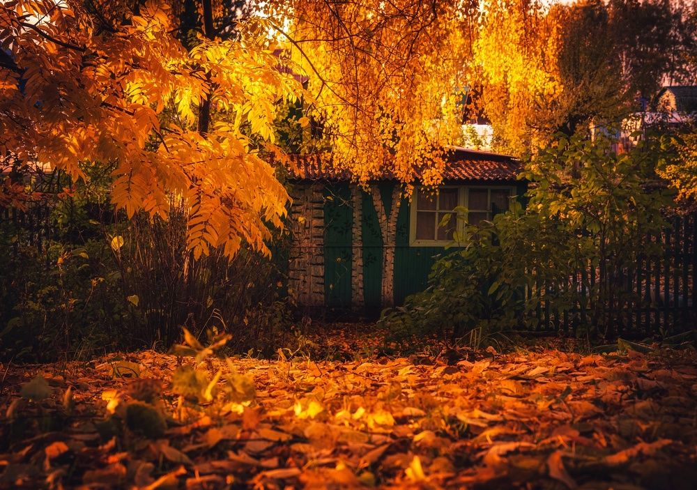 Photograph by Рымаров Александр