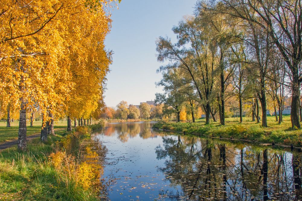 Осенние берега