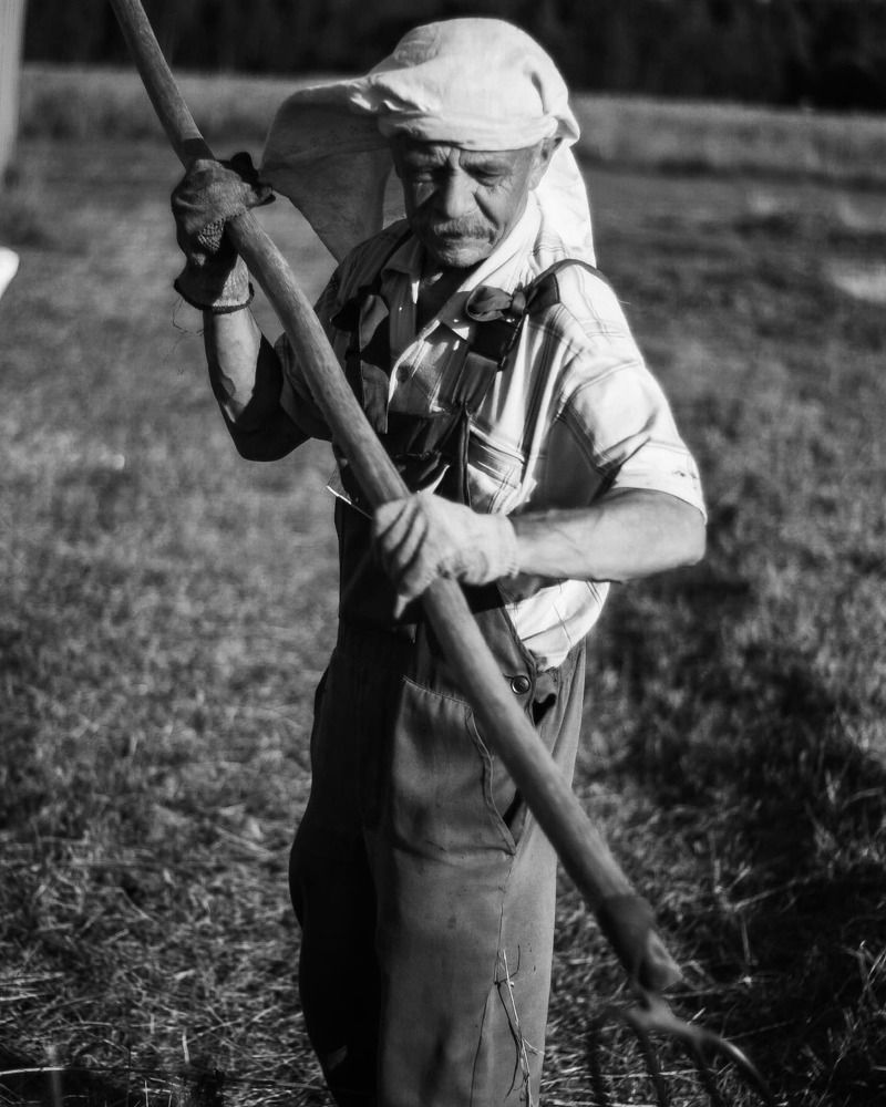 Photograph by Елена Подшевалова