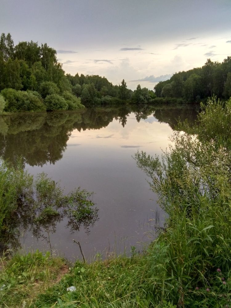 Photo #6567651