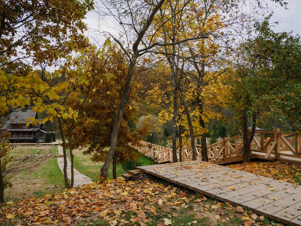 Photograph by Михаил Шохин