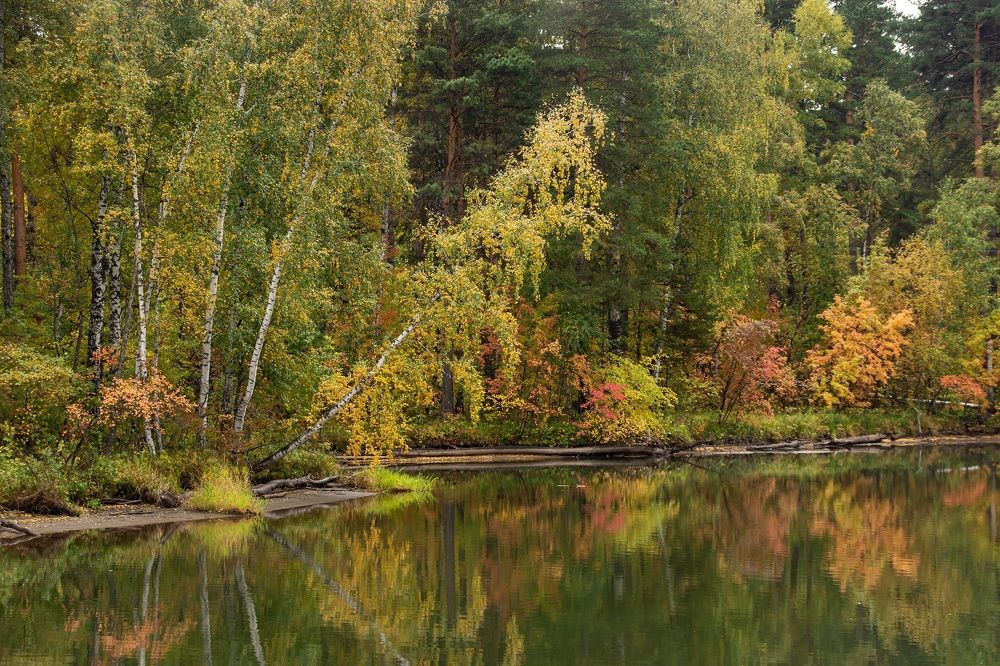 Photograph by Геннадий Покидов