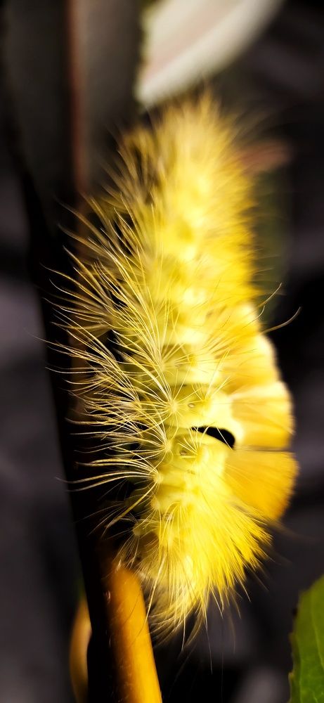 Photograph by Катерина Ермолаева